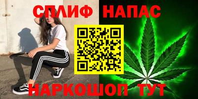 спиды Ливны