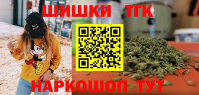 индика Лесосибирск